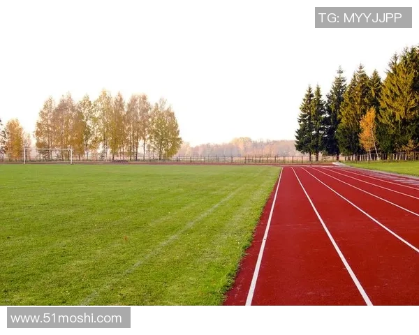 6686体育专家团队背景详解与专业能力分析 6686体育专家团队背景详解与专业能力分析