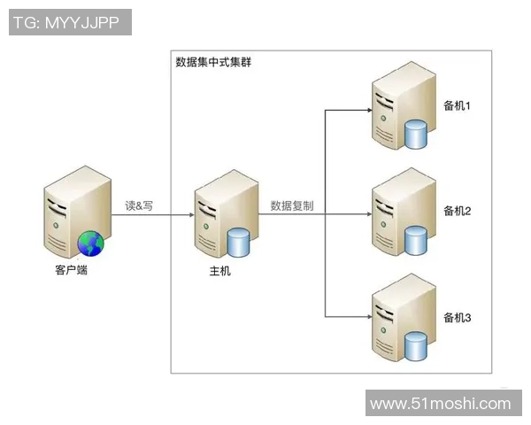 探索pg国际内存数据库集群的高效架构与应用场景分析