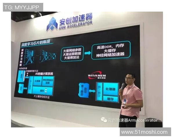 红桃国际在对抗性机器学习领域的创新探索与应用实践分析